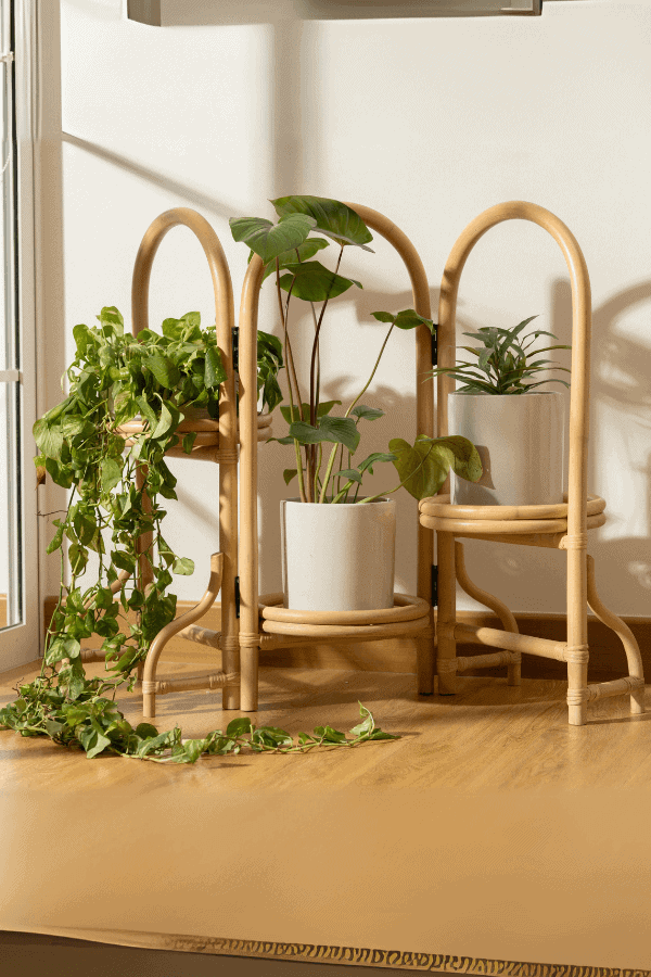 rattan planter stand