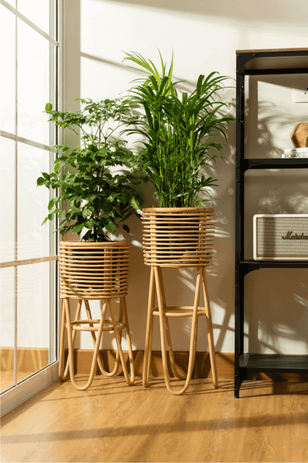 rattan plant table