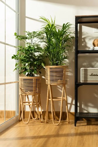 Eco Blush Rattan Plant Stand