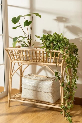 rattan plant table